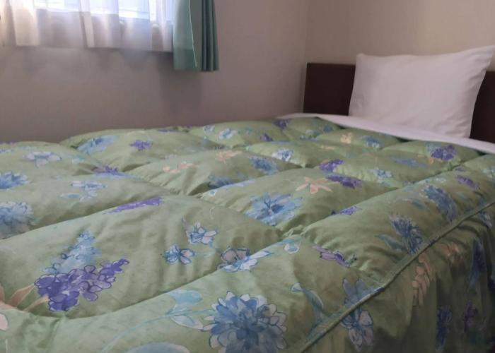 Shinseto Station Hotel