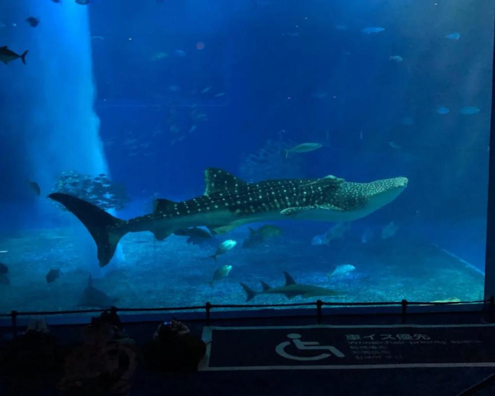 фото Yukurina Resort Okinawa Urizun