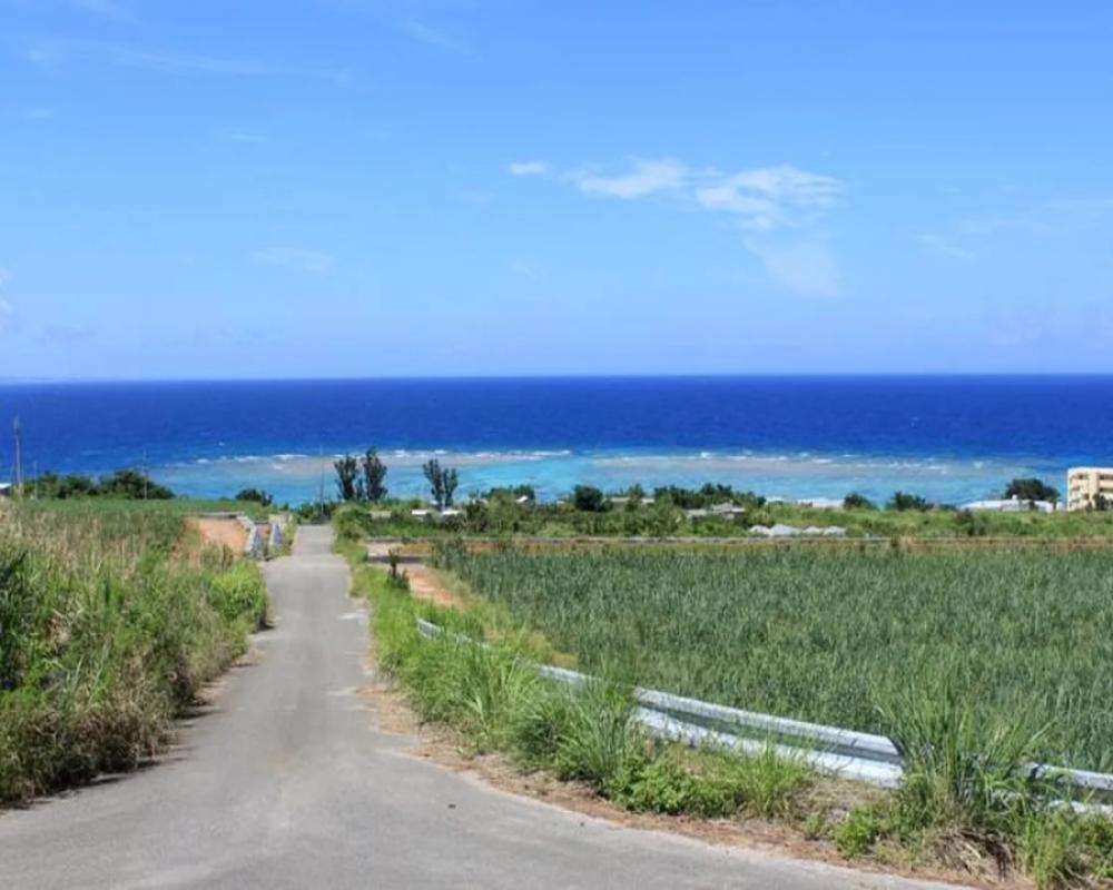фото PANORAMA Ocean View Cottage