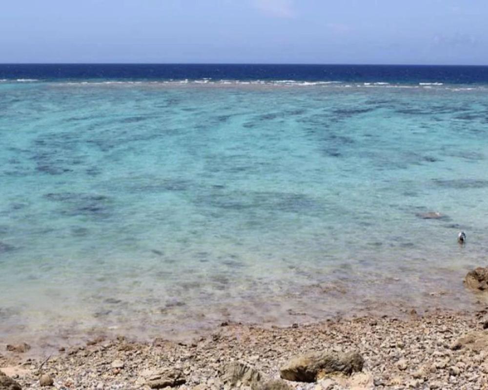 фото PANORAMA Ocean View Cottage
