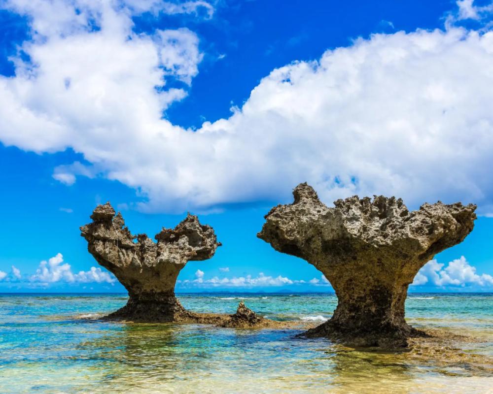 фото Motobu Ikoi no Yado Yamachan