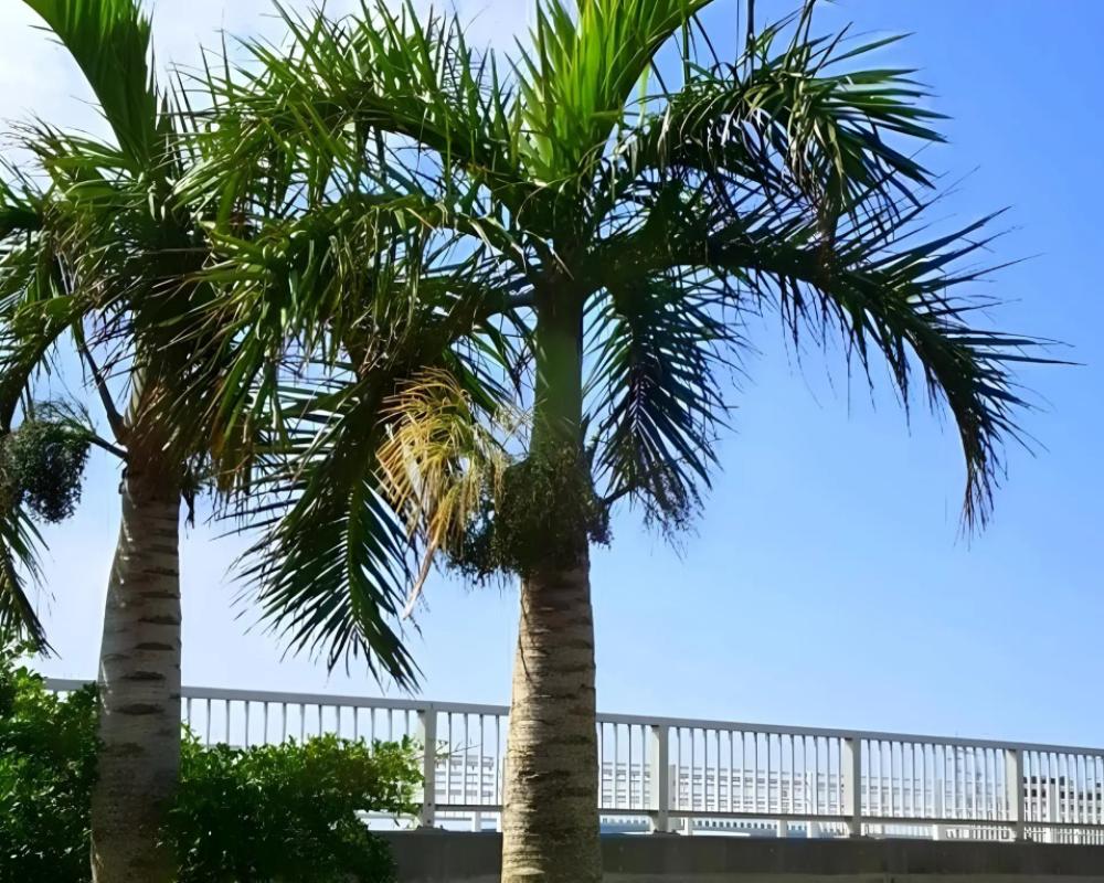 фото Guesthouse Nandeyanen - Hostel