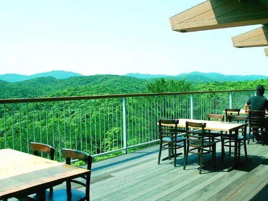 Yambaru Discovery Forest