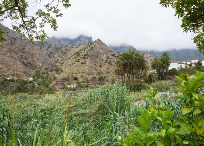 Finca Pinero