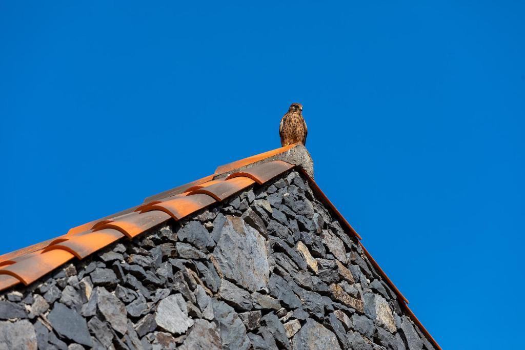 Las Casas del Chorro