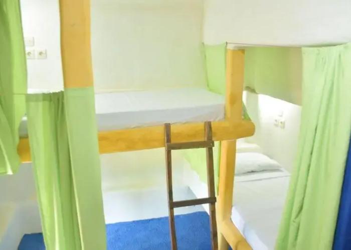 The Rabbit Tree - Hostel