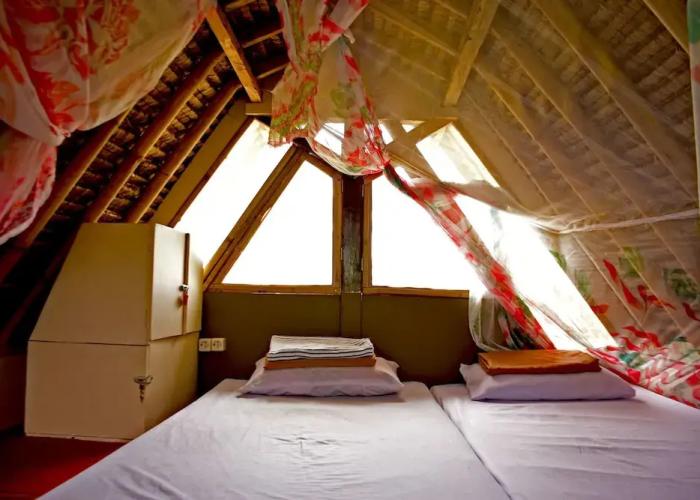 The Rabbit Tree - Hostel
