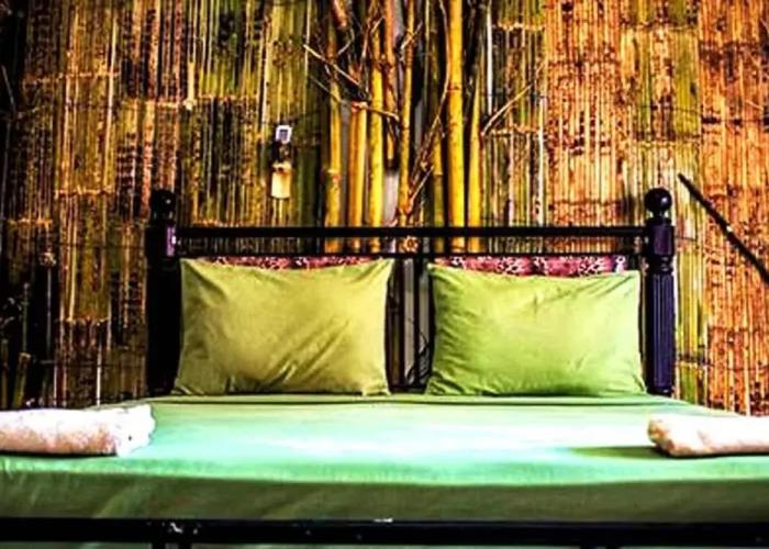 The Rabbit Tree - Hostel