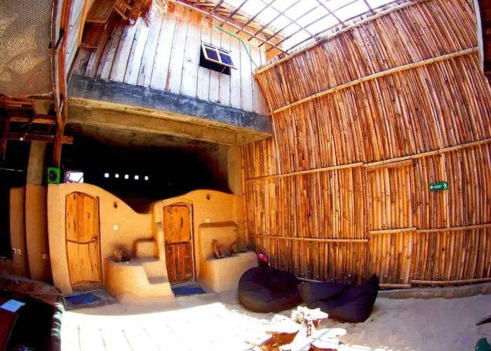 The Rabbit Tree - Hostel