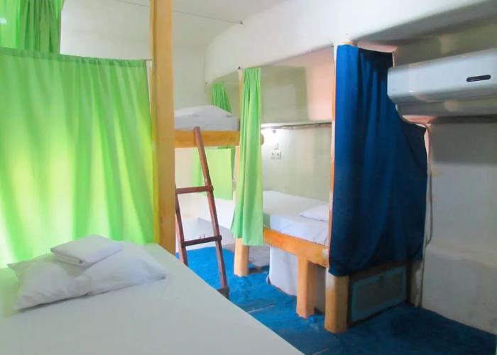 The Rabbit Tree - Hostel