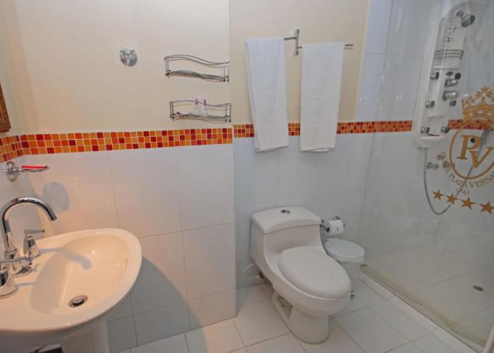 Hotel Plaza Versalles