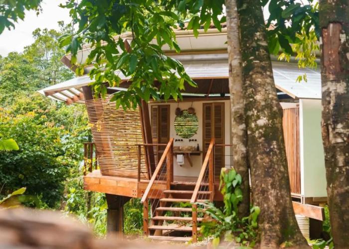 La Loma Jungle Lodge