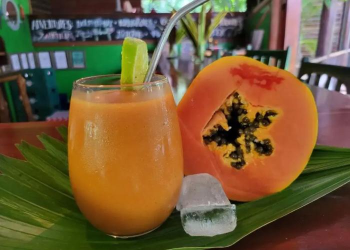 Casa Cayuco Eco-Adventure Lodge