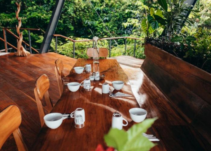 La Loma Jungle Lodge & Chocolate Farm