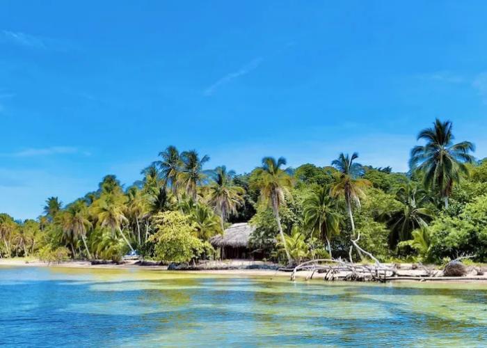 Private Beachfront House With Kayak & Guided Tours