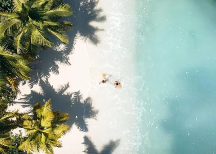 Private Beachfront House With Kayak & Guided Tours