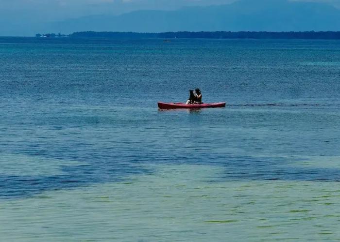 Private Beachfront House With Kayak & Guided Tours