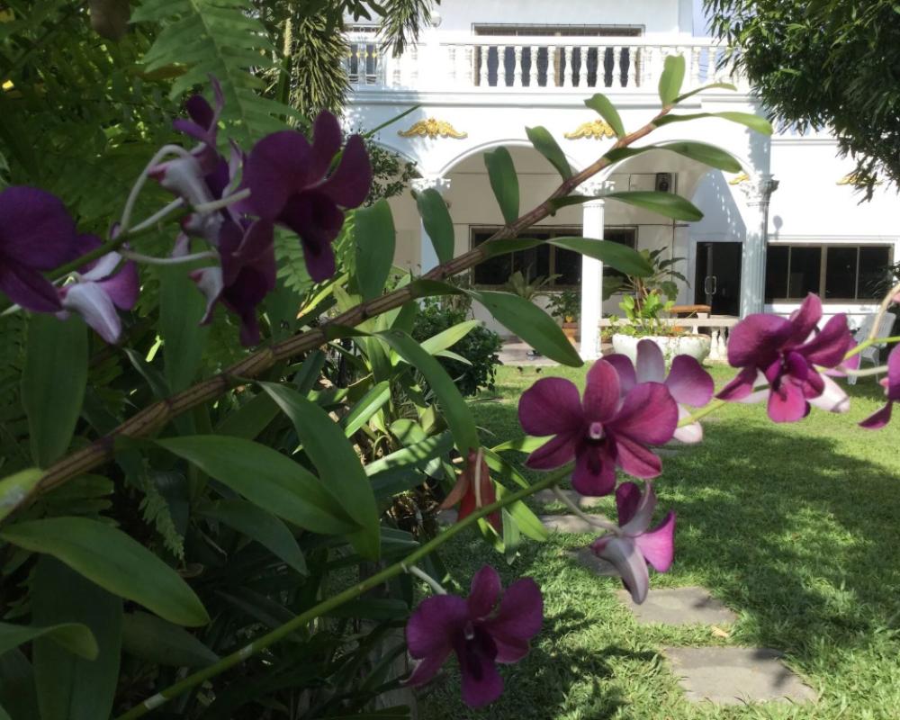 фото White Elephant Resort