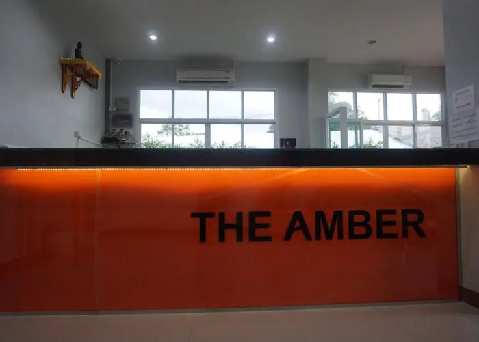 The Amber Mansion
