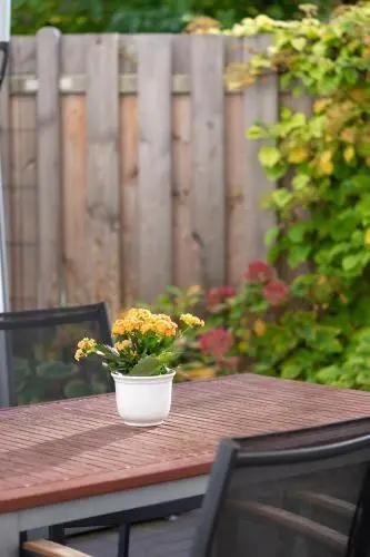 фото Hotel Westerfeld