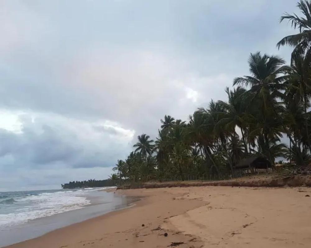 фото Vila Lua de Taipu