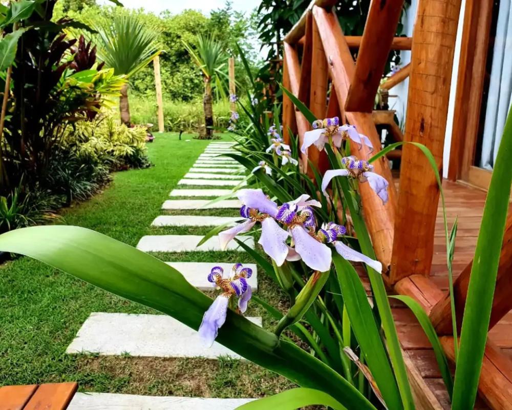 фото Vila Lua de Taipu
