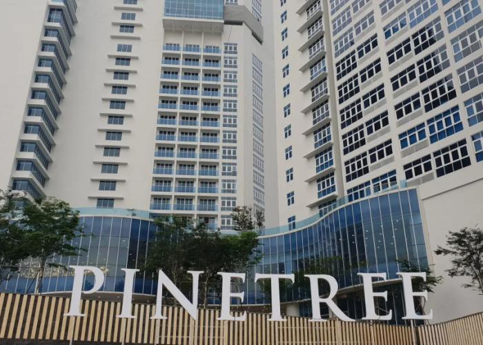 Pinetree Marina Resort