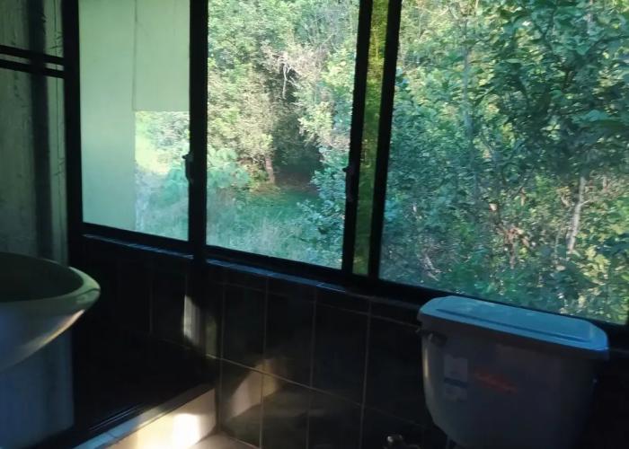 Grand Selva Lodge & Tours
