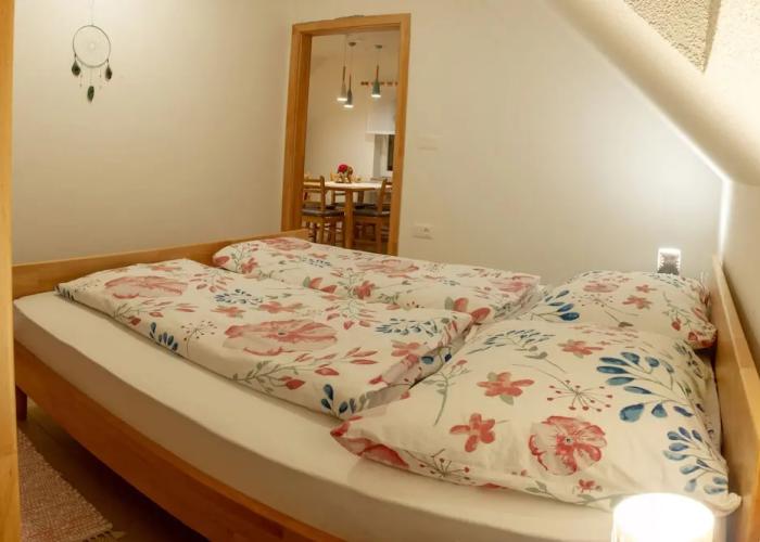 Apartments Laznica