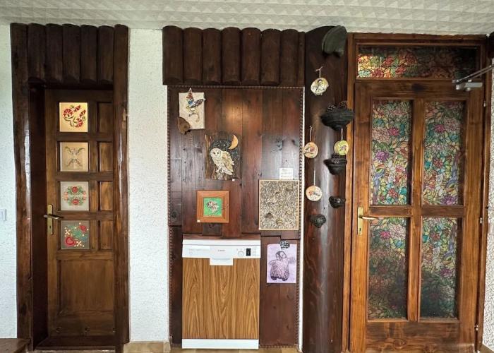 Apartma Pohar- A Bit Different!