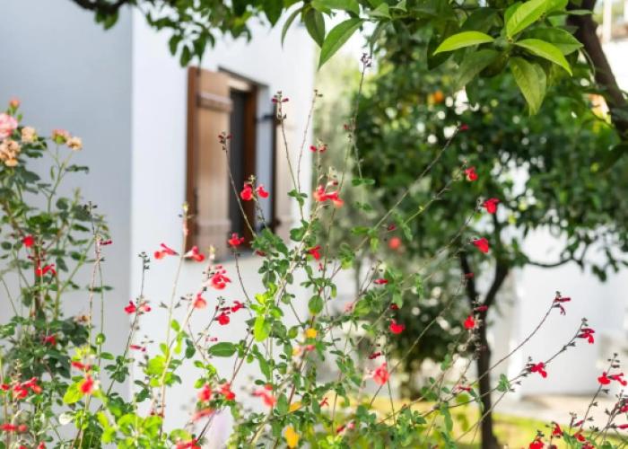 Aeolos Hotel & Villas -Pelion