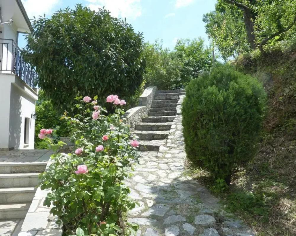 фото Villa Thea
