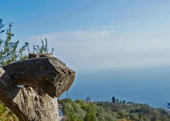 Villa Thea