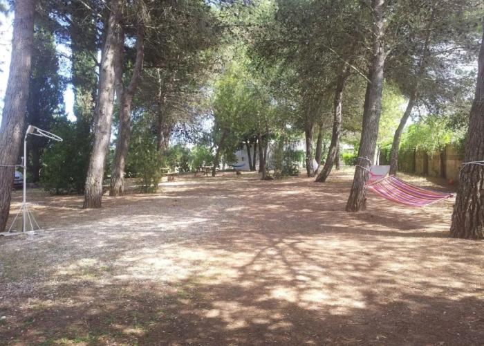 Agriturismo Vignavecchia