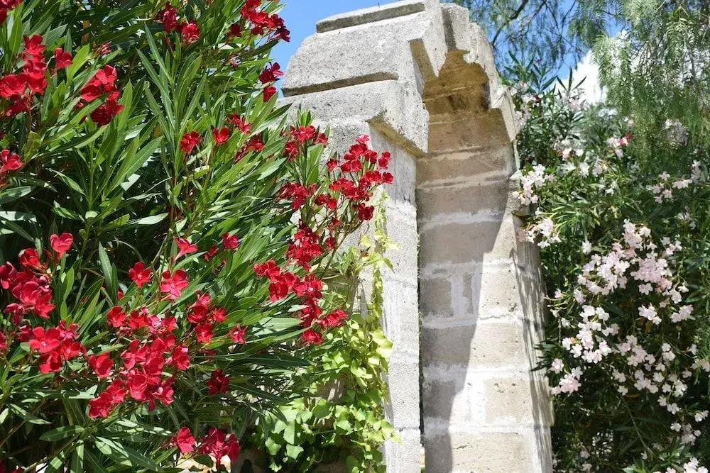 L'Aia di San Giorgio