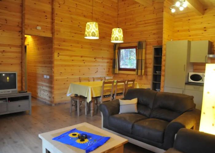 Modern Chalet With Stove Located in the Forest