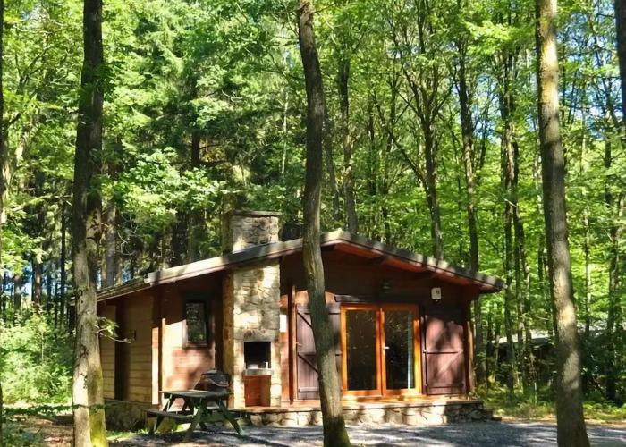 Cozy, Wooden Chalet With a Microwave, Located in a Forest