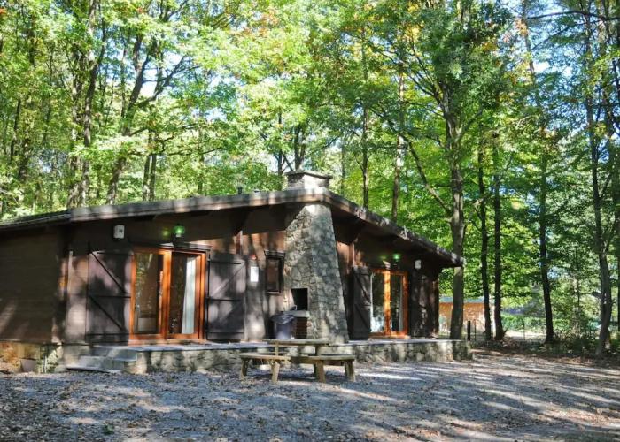 Wooden Chalet With Stove and Microwave Located in the Forest