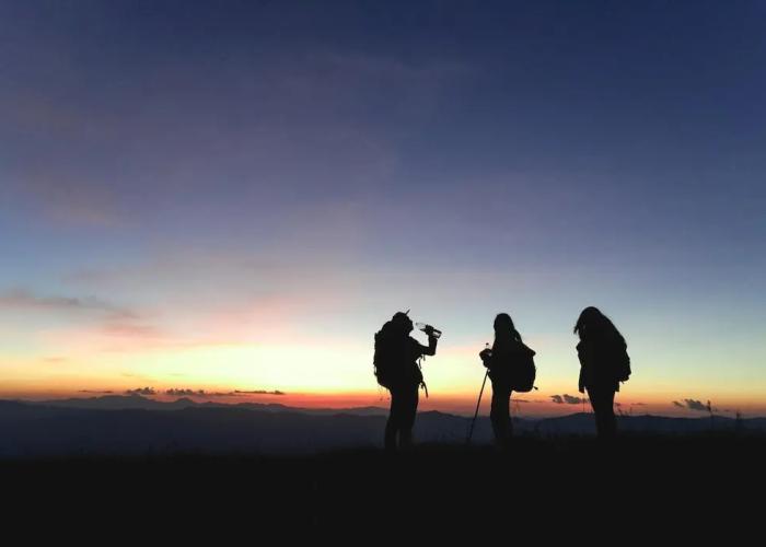 Paradise Wild Hills