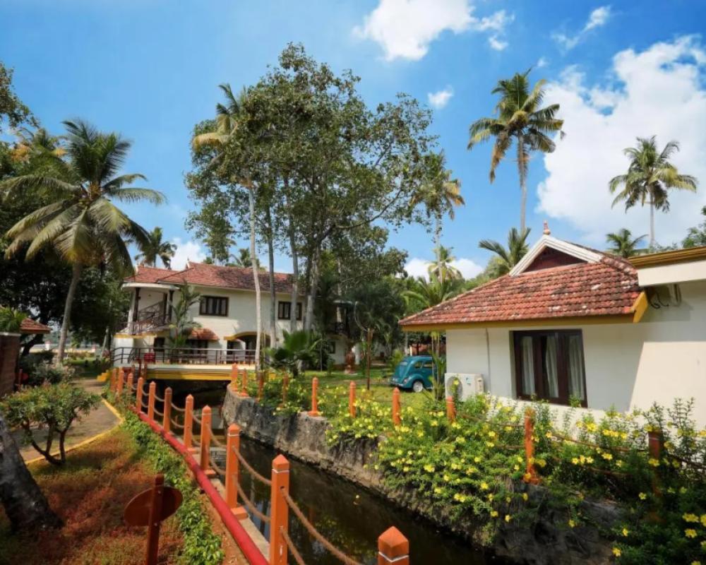 фото The World Backwaters