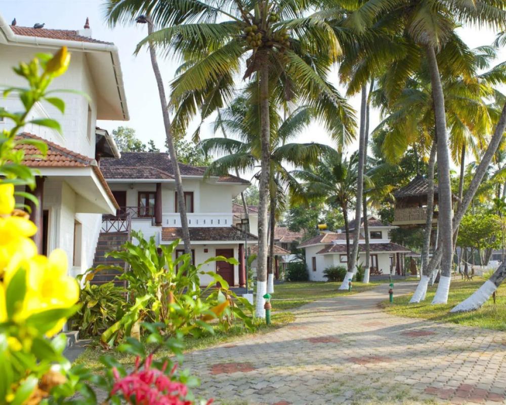 фото The World Backwaters
