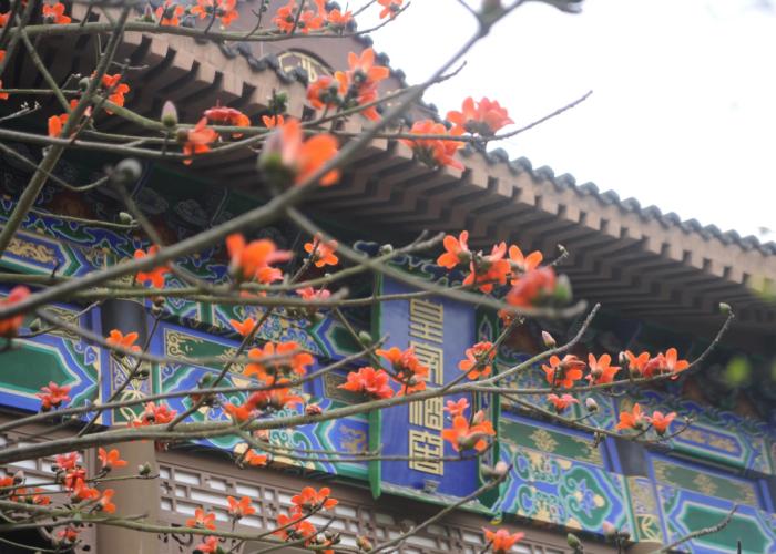 Eadry Royal Garden Hotel Haikou