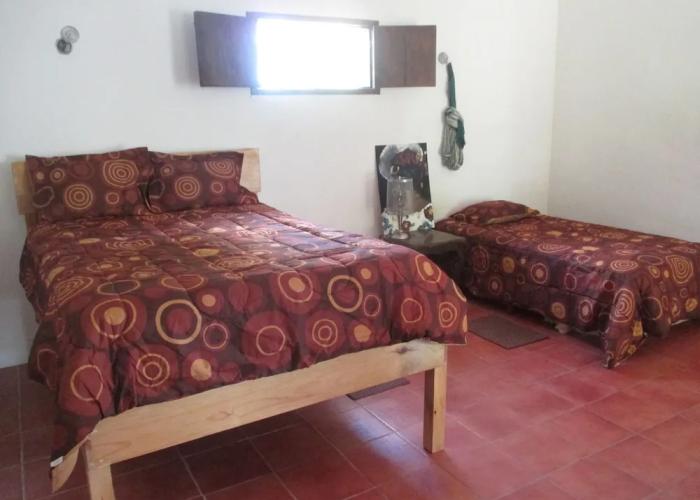 Casa de Toj2
