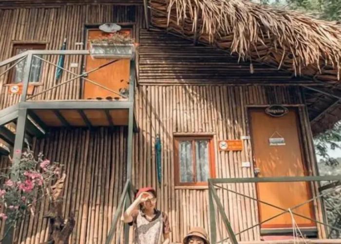 Green Hill Hostel & Homestay