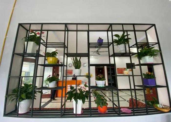 Ali Hostel Hà Giang