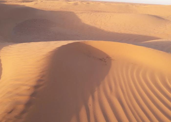 Le Chant Du Sable