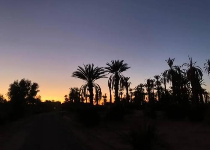 Bivouac Joudour Sahara