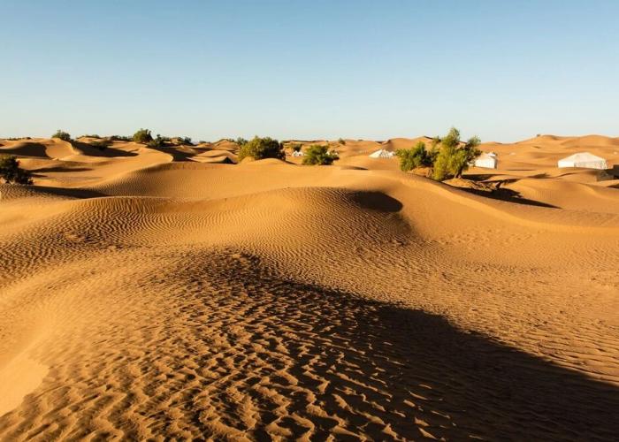Bivouac Joudour Sahara