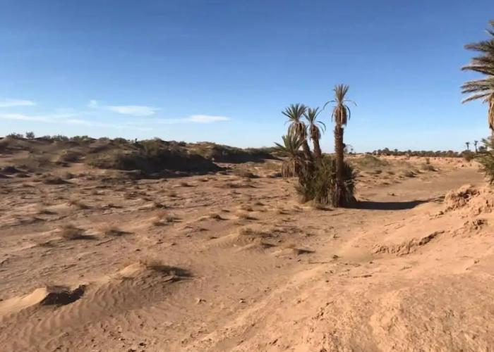 Bivouac Joudour Sahara
