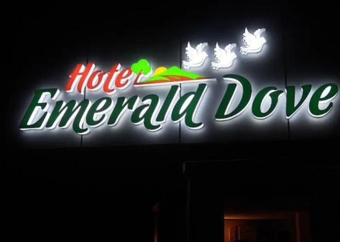 Emerald Dove